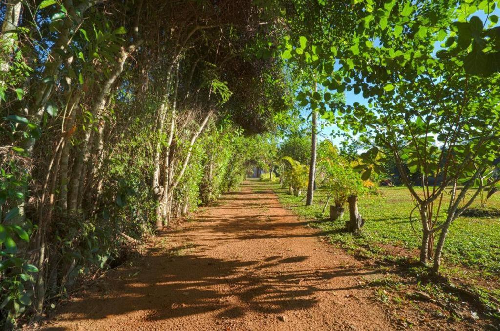 Happy Man Village Bentota Exterior photo