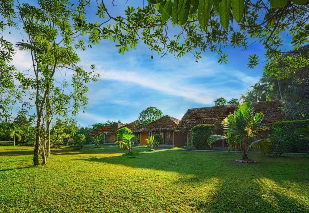 Happy Man Village Bentota Exterior photo