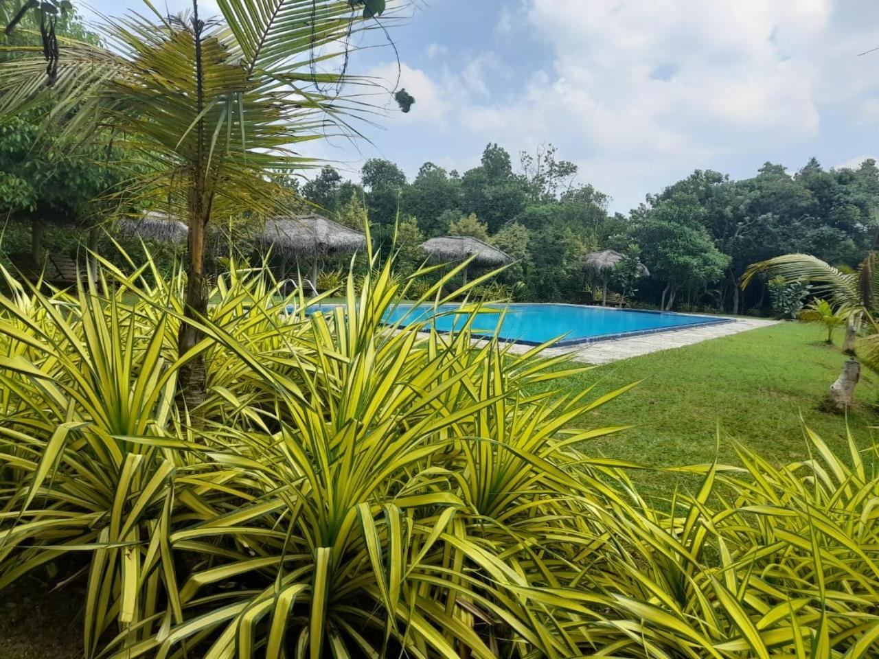 Happy Man Village Bentota Exterior photo